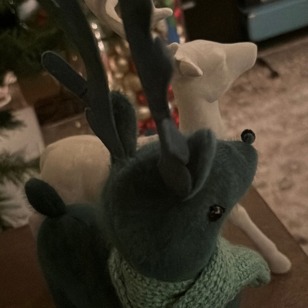 Meet your Posher, Lana